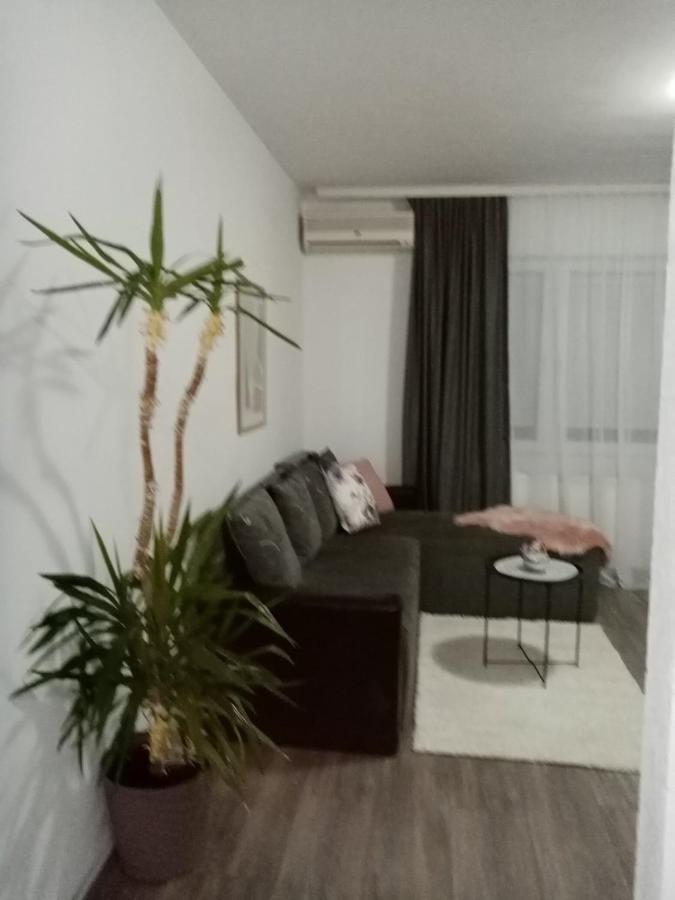 Apartman Aleksic Jagodina Kültér fotó