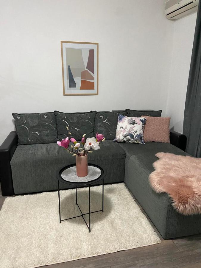 Apartman Aleksic Jagodina Kültér fotó