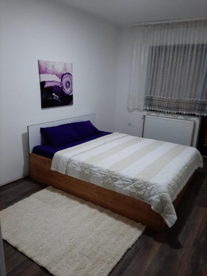 Apartman Aleksic Jagodina Kültér fotó